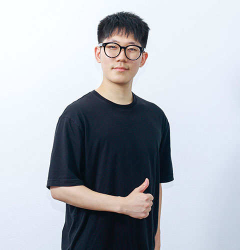 안제형